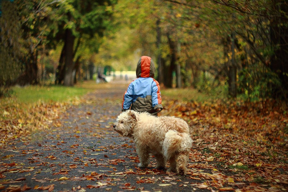 осенняя прогулка