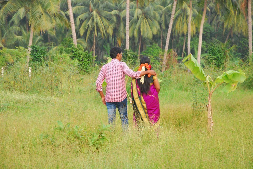 The Love of Nature