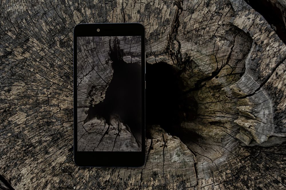 Photograph by Иван Максимов