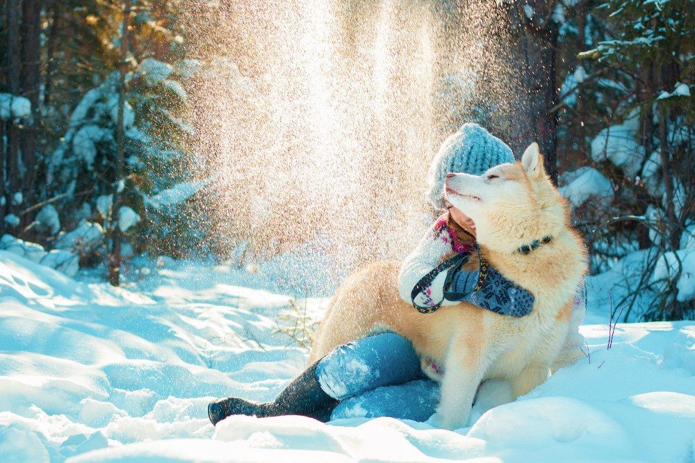 Photograph by Таня Грин