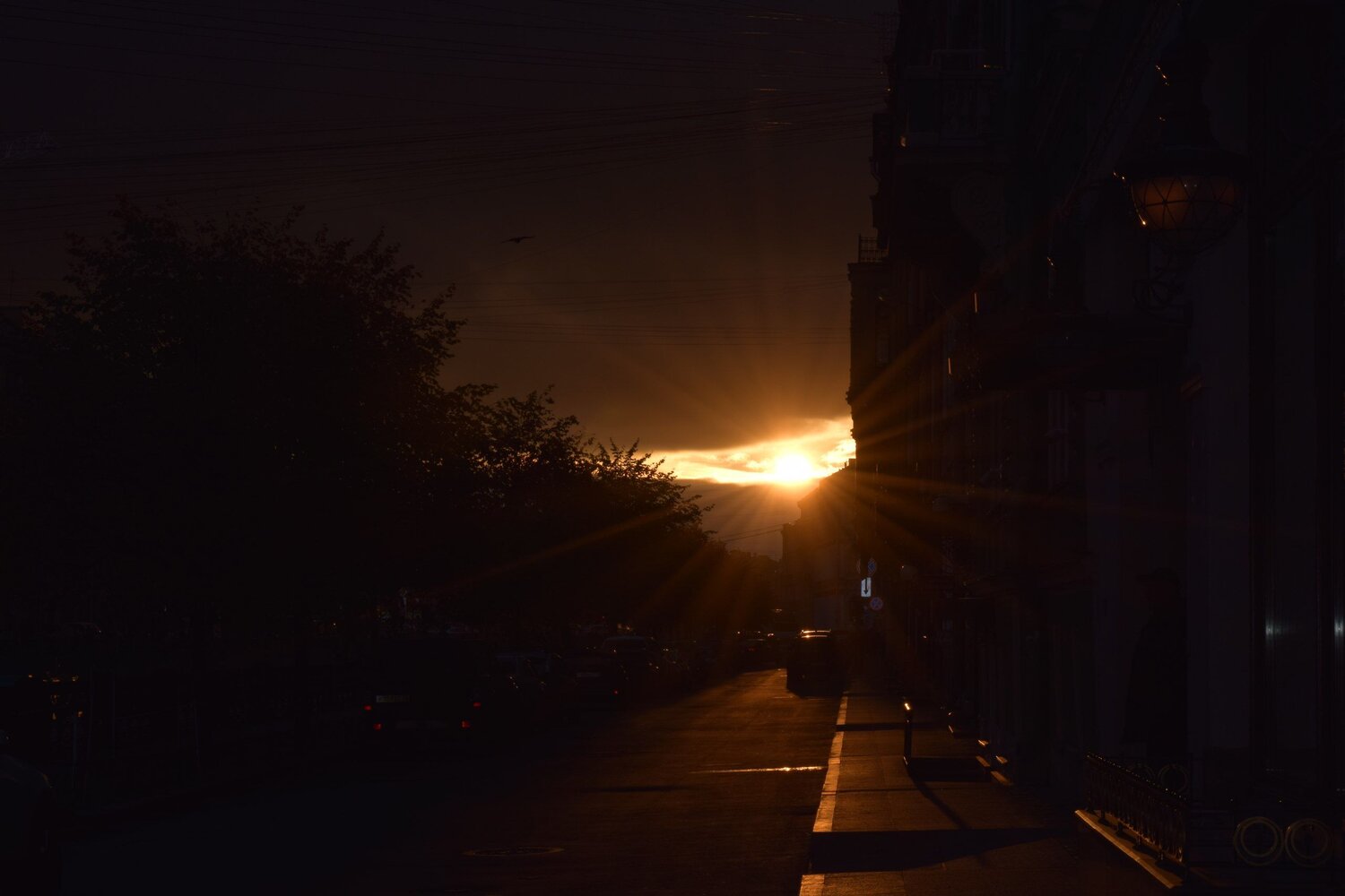 Солнце