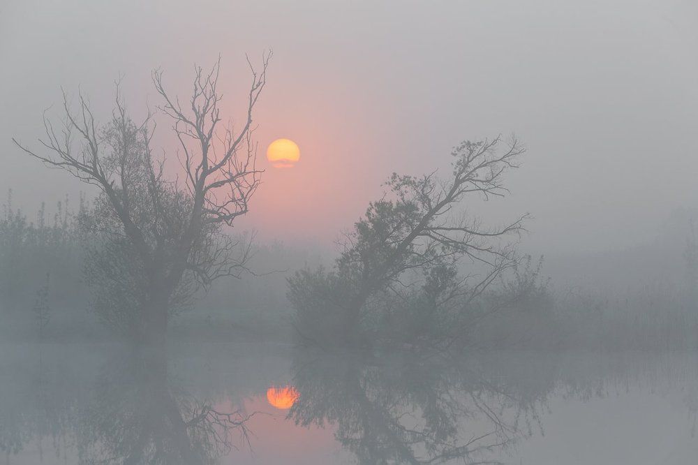 Рассветная тишина.