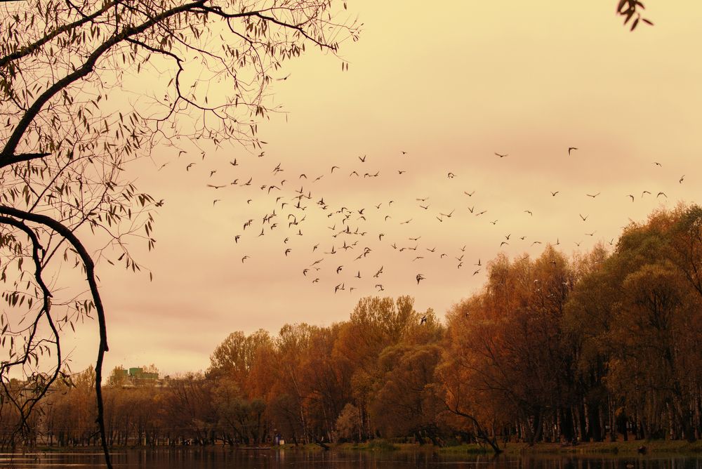 Photograph by Татьяна Скородумова