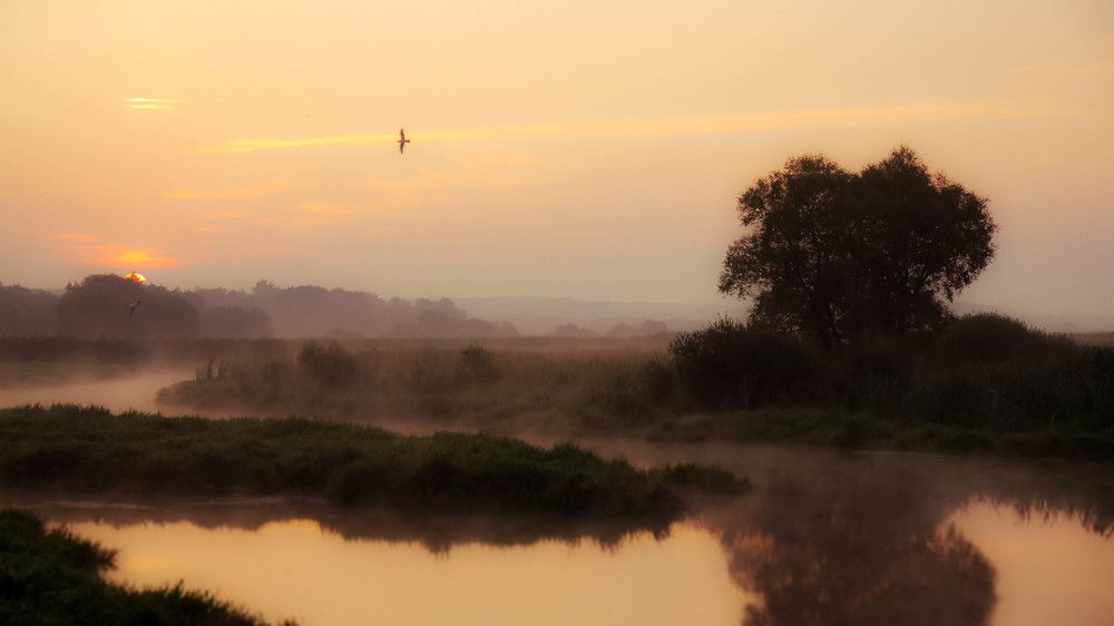Таинственное утро