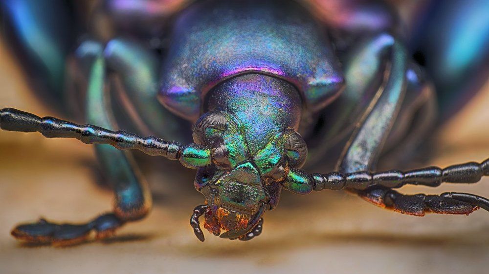 Привет Всем!