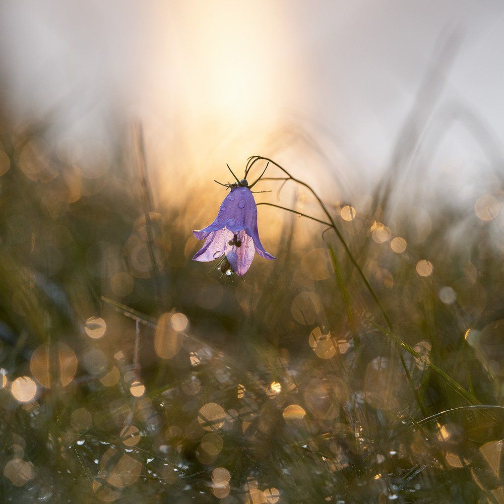 На рассвете