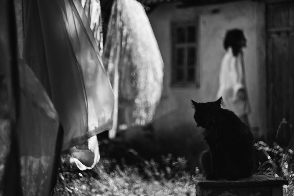 Photograph by OLGA AGEEVA