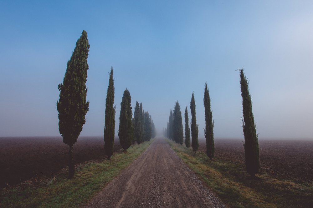 Утро в Тоскане