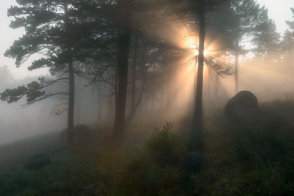 Утреннее светопредставление