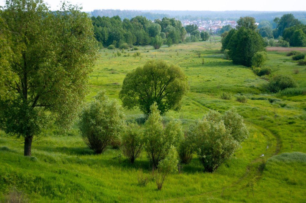 Photograph by Башагурова Екатерина