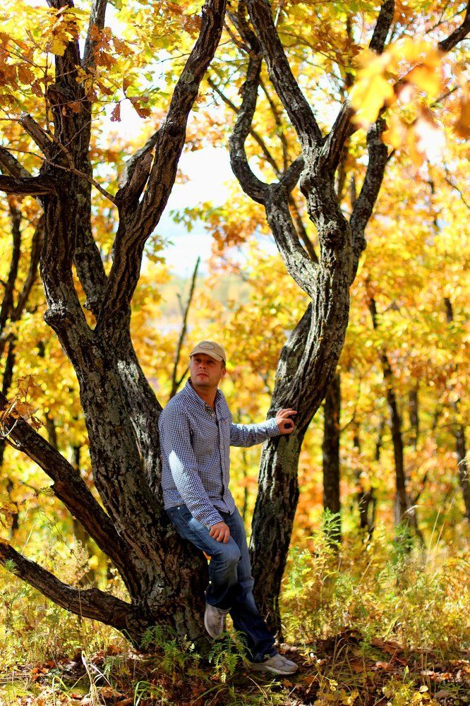 Золото осени.