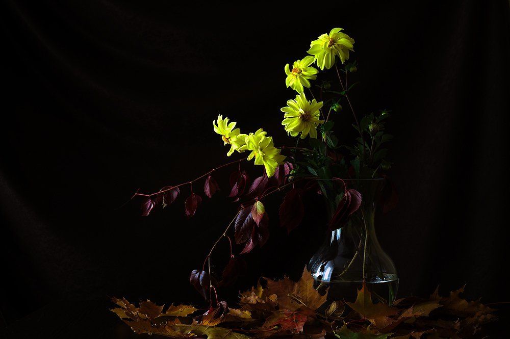 Осеннии цветы.