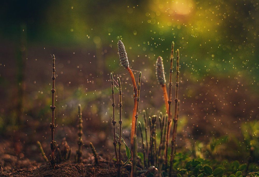 Photograph by Чернякова Анна