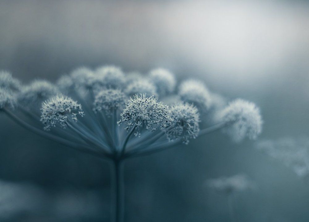 Photograph by Чернякова Анна