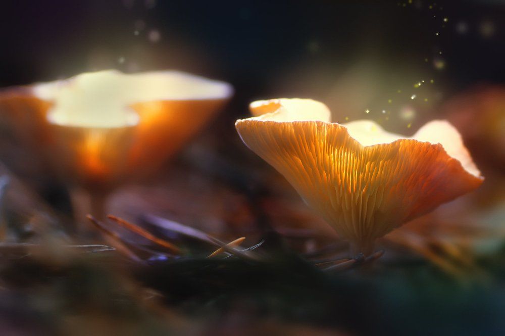 После полуночи