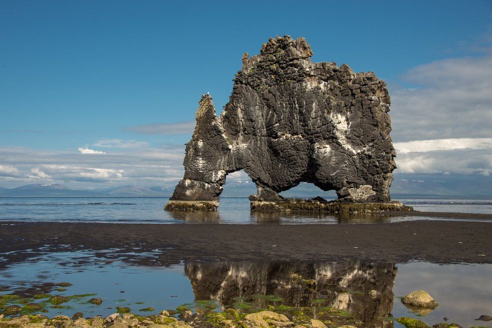 Пьющий  дракон.