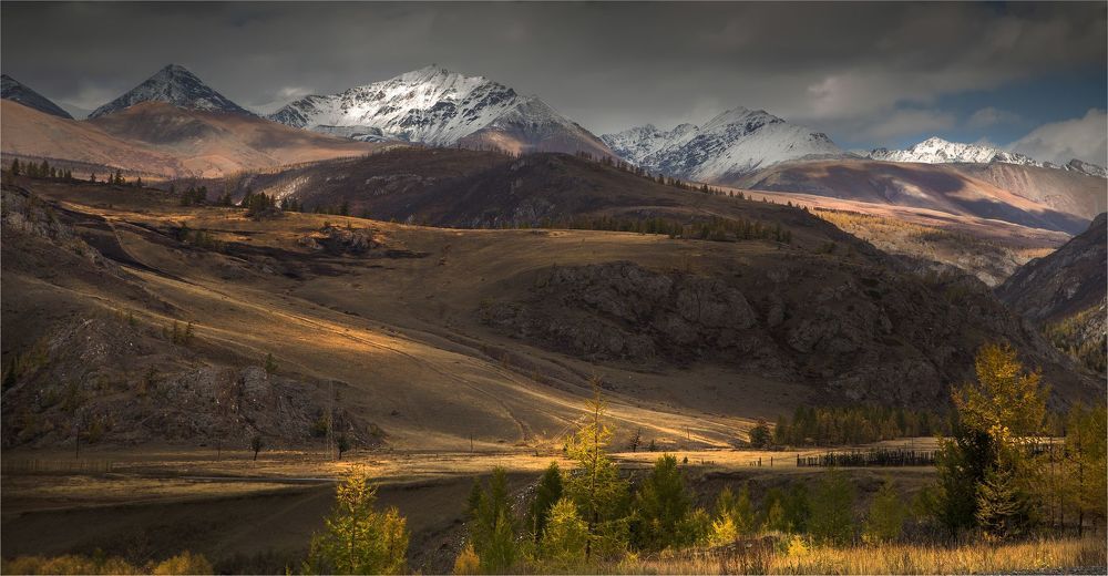Красивый мудрец, дед Алтай..!