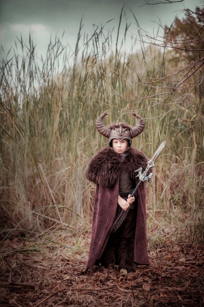 Сага о ВИКИНГЕ ...