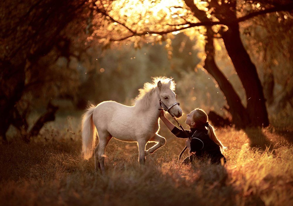 пушистая осень...