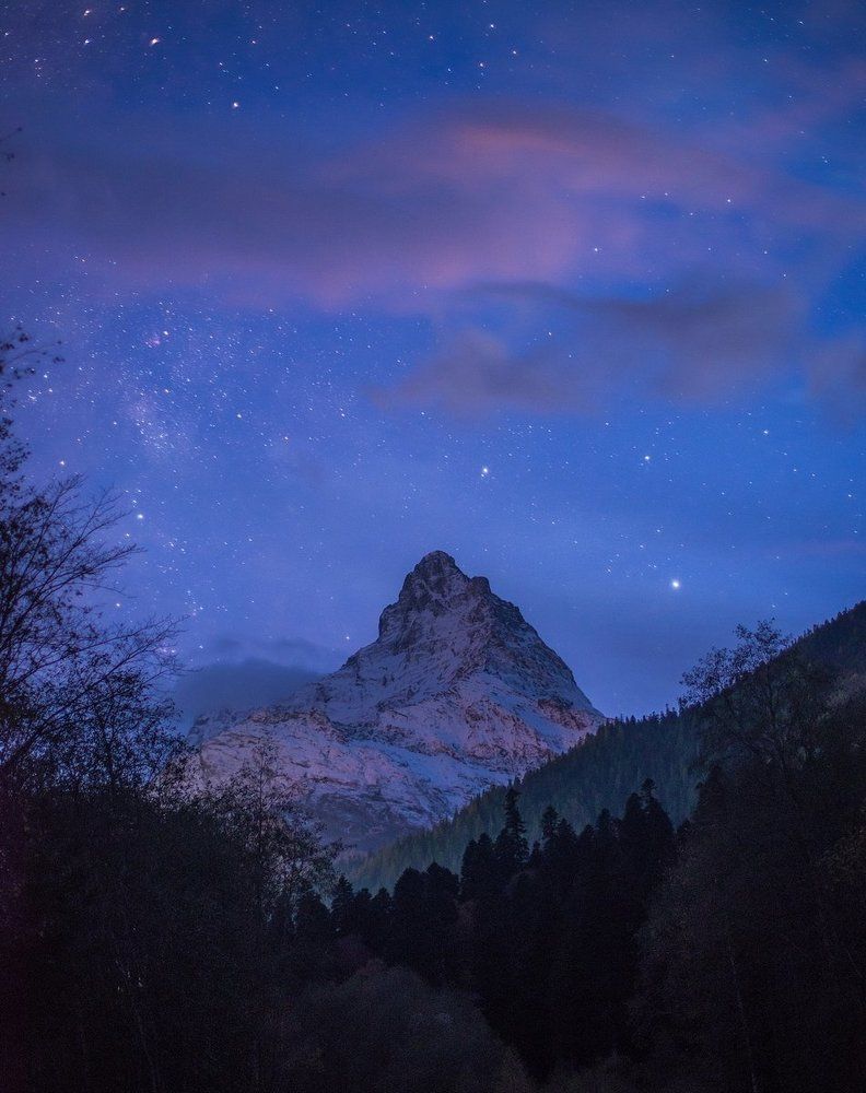 СПЯЩАЯ КРАСАВИЦА БЕЛАЛАКАЯ