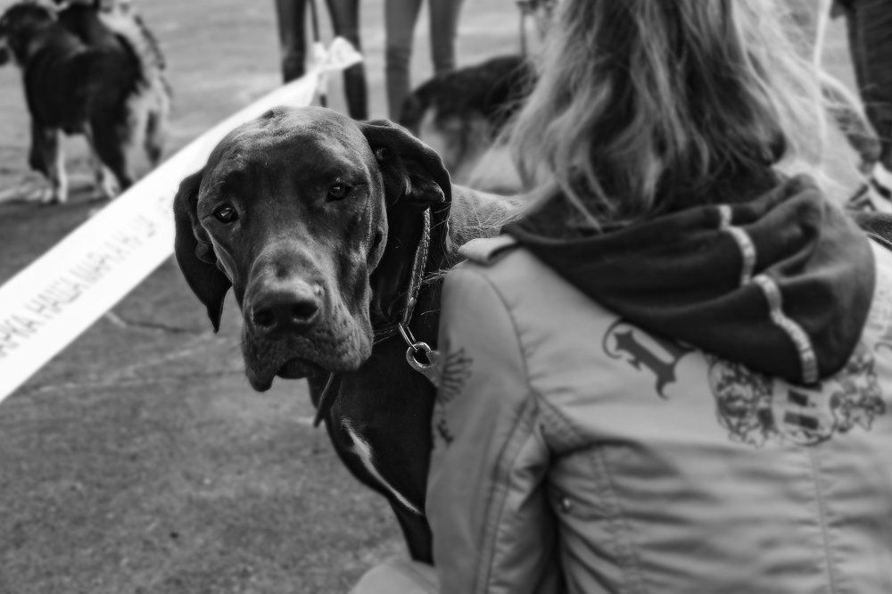 Эти глаза напротив.