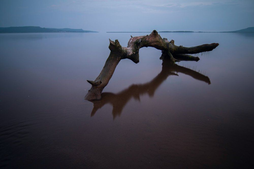 Photograph by Сигида Дмитрий