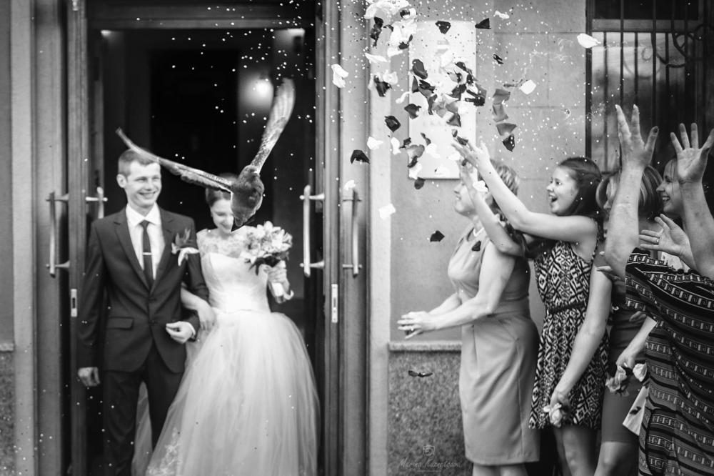 Птица счастья.