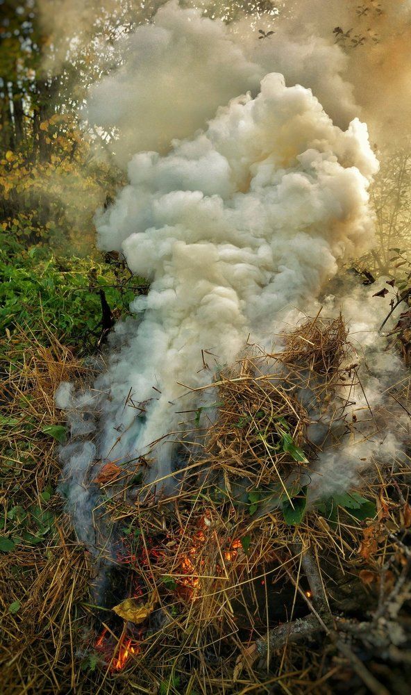 Белый дым...