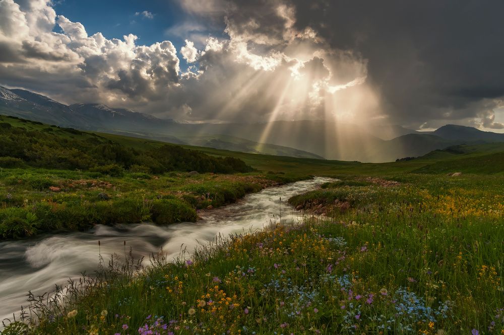 Летний вечер