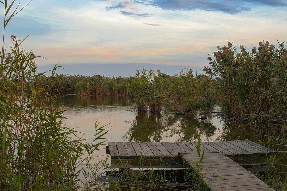 Краски осени