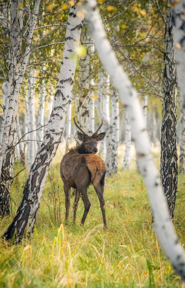 Photograph by Андрей Красников