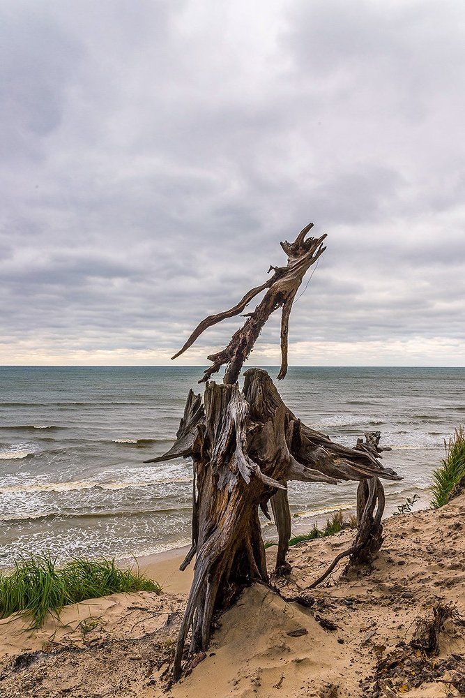 Желание полёта
