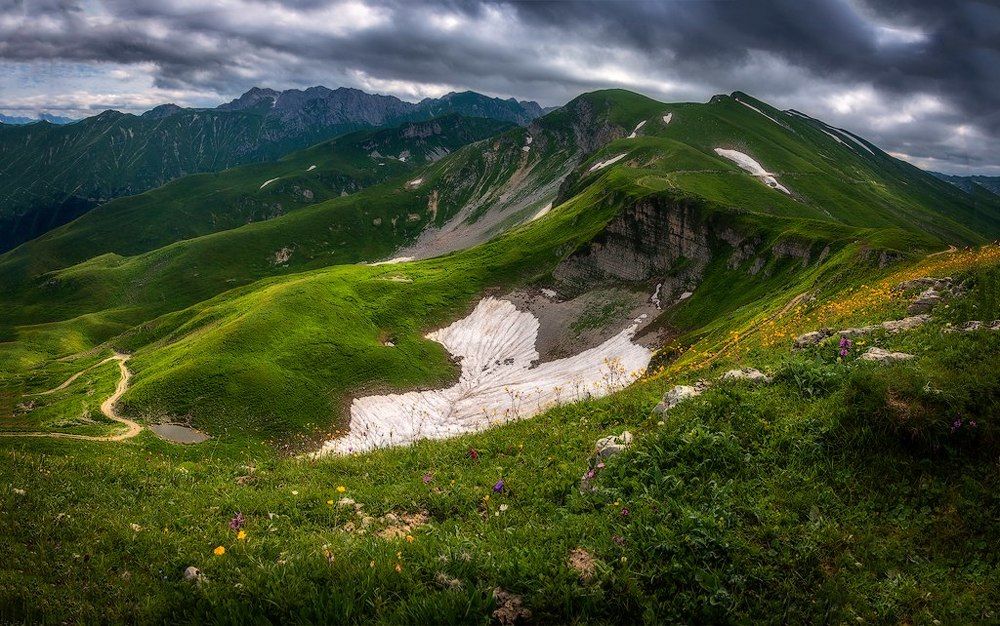 Кавказский заповедник