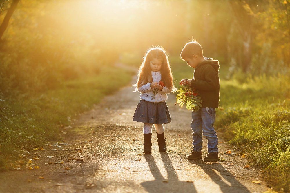 Золотая осень