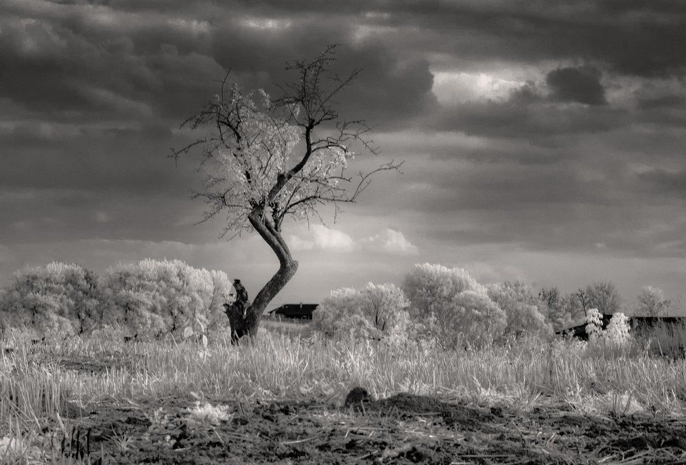 одиночество