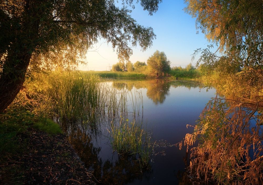 Окно в природу