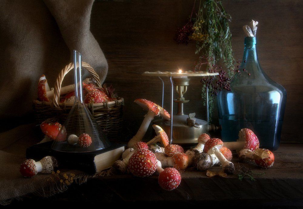 Все грибы можно есть, но некоторые только один раз!