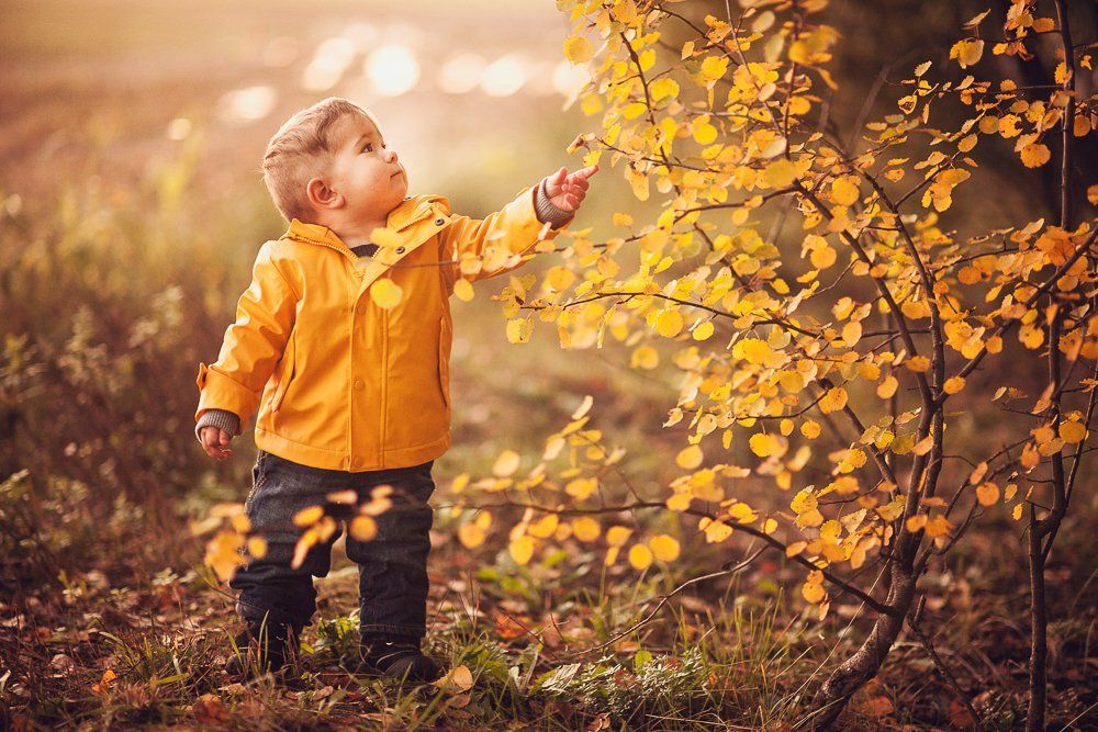 Моя первая осень