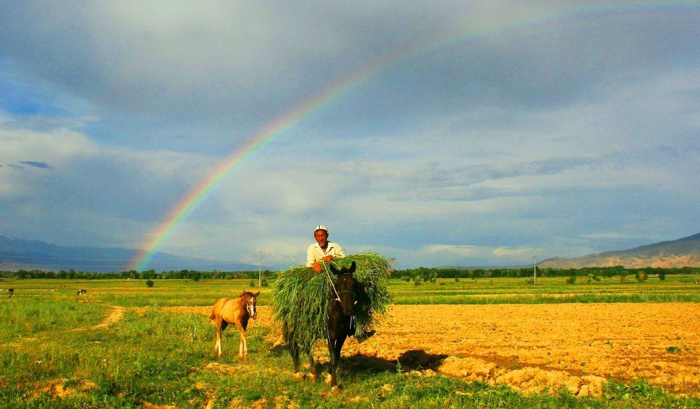 После дождя