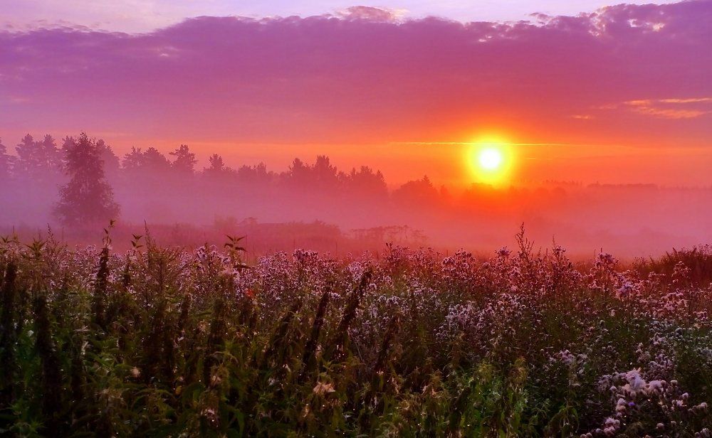 На рассвете