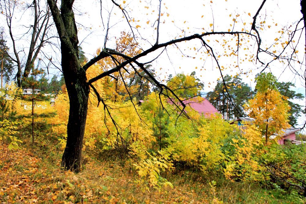 Photograph by Попел Ирина