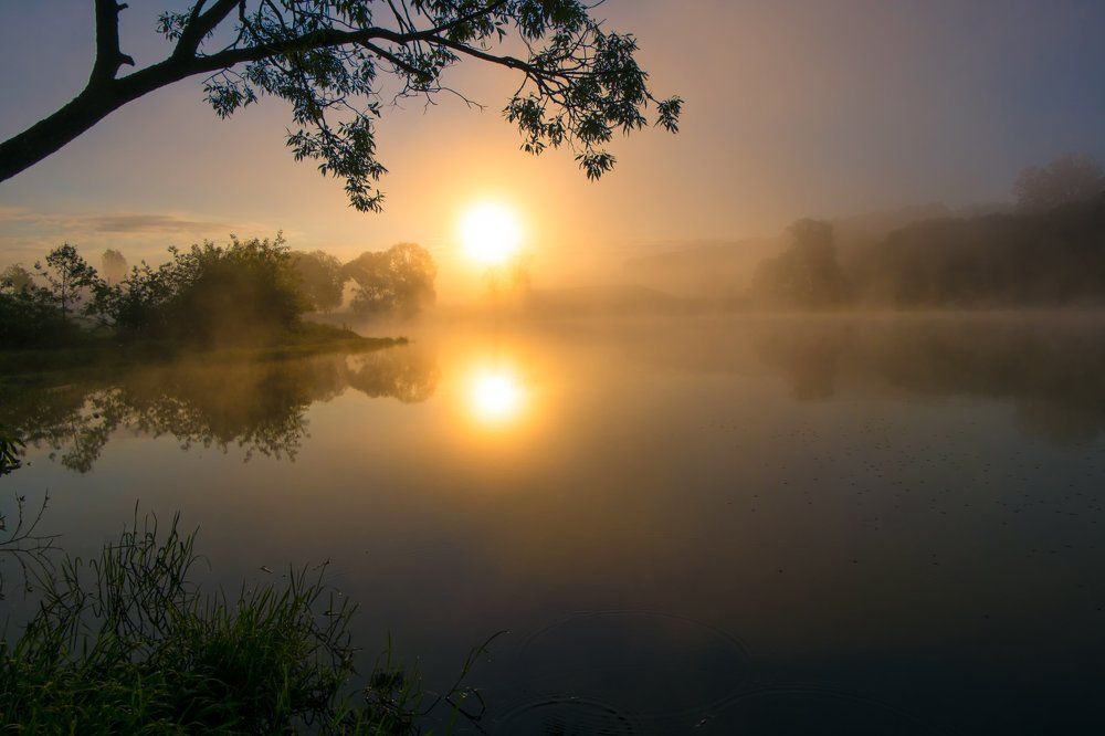 туманным   утром