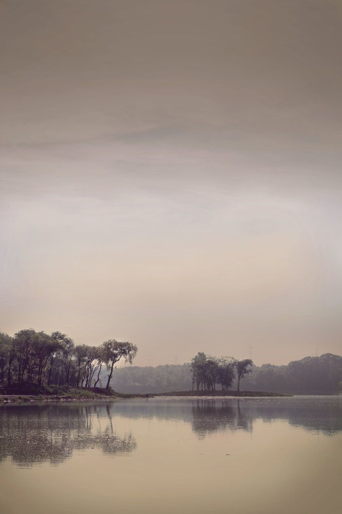 Туманное утро