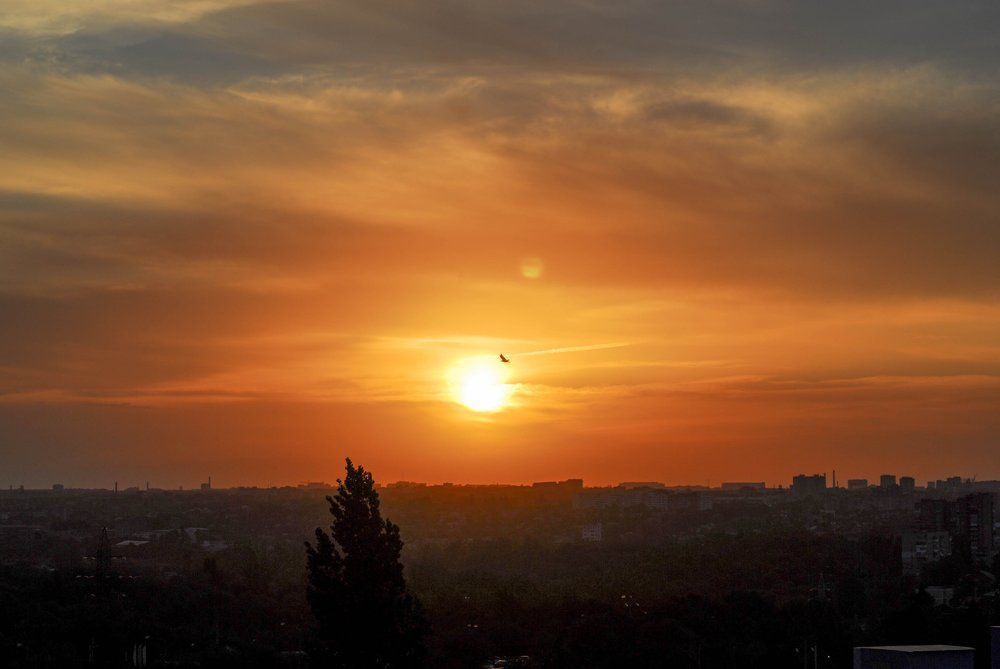 Солнце и Венера