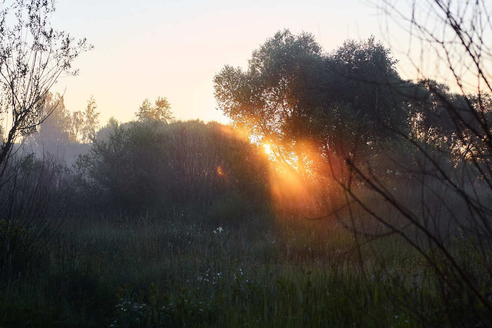 Подглядывающий