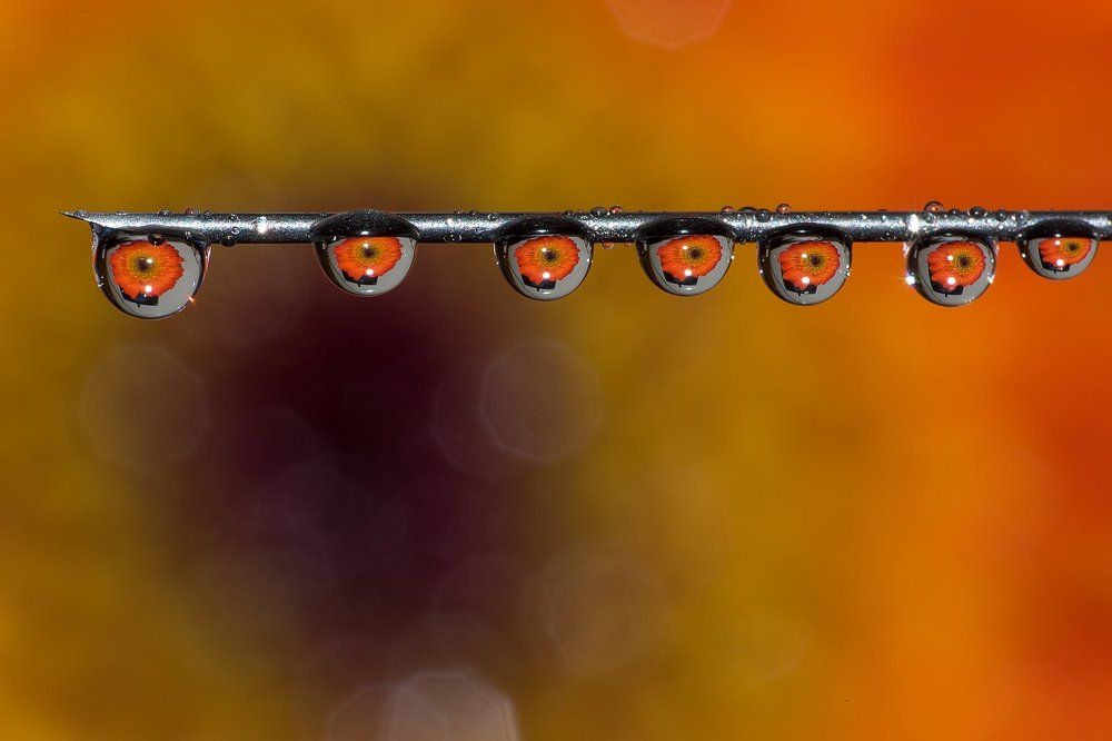Water Droplet