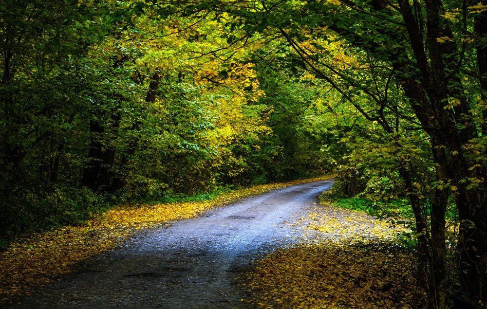 осенняя пора