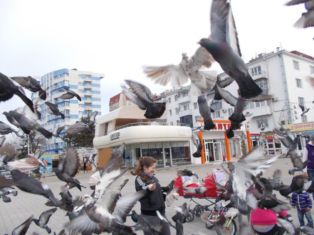 ЛЮБОВЬ И ГОЛУБИ