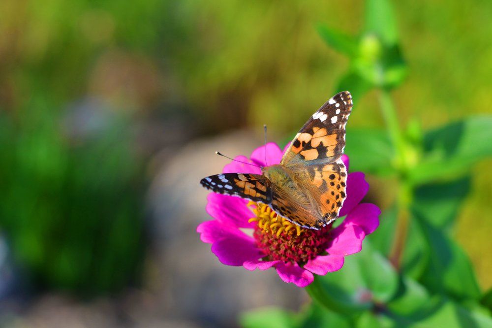 Photograph by Оксана Корнева