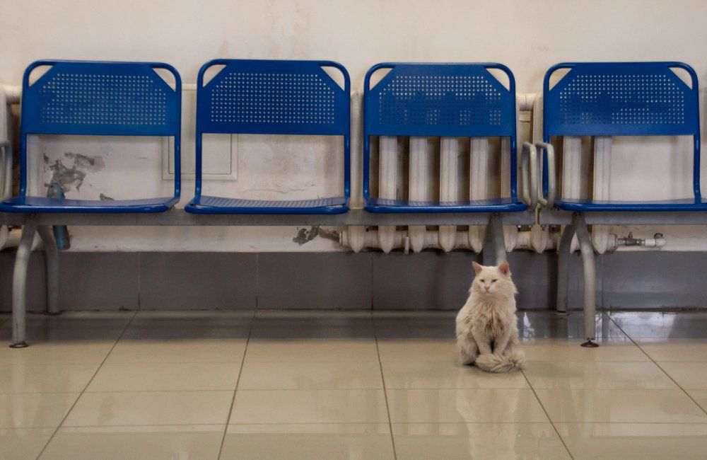 зал ожидания